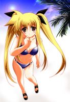 mahou_shoujo_lyrical_nanoha_-_lanyok_00648.jpg